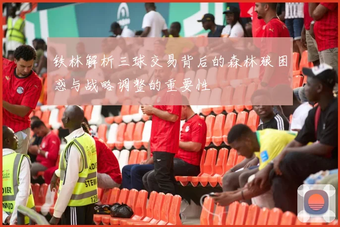 铁林解析三球交易背后的森林狼困惑与战略调整的重要性