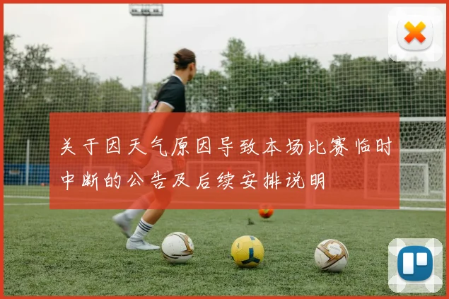 关于因天气原因导致本场比赛临时中断的公告及后续安排说明